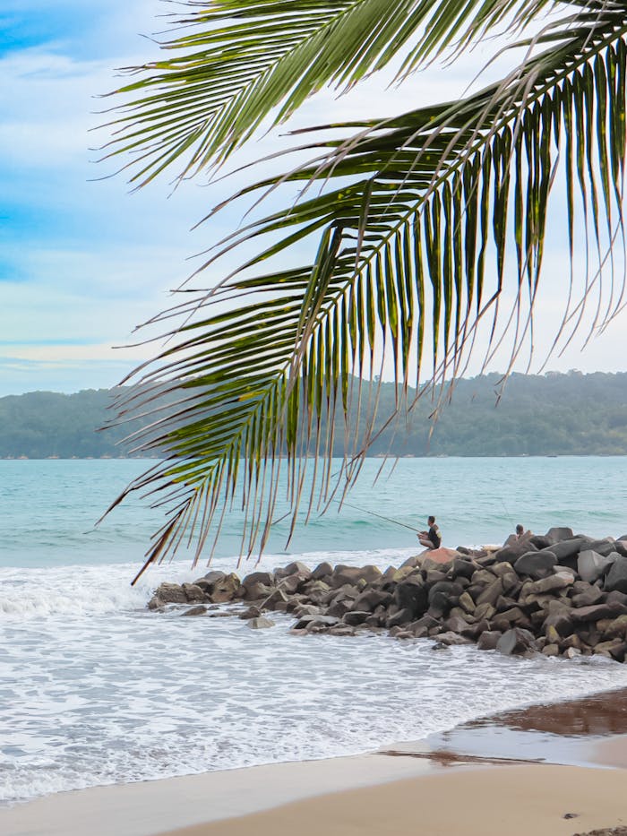 Palm tree over sandy beach in West Java, Indonesia with people relaxing on rocks.