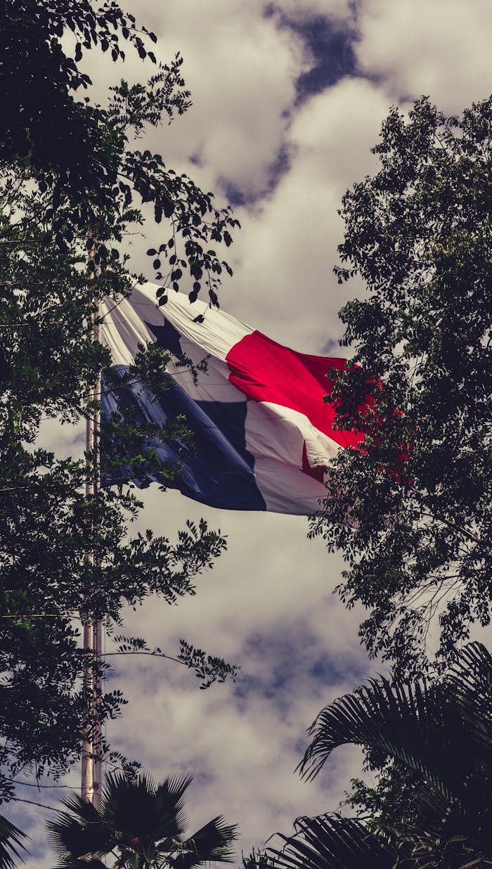 Panama national flag waving amidst tropical trees under a cloudy sky.